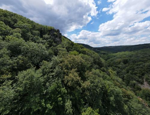 Les gardiens des gorges de la Sioule [30-07-2022](1134).jpg